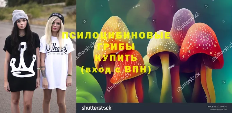 Галлюциногенные грибы Cubensis  где найти   Бугуруслан 